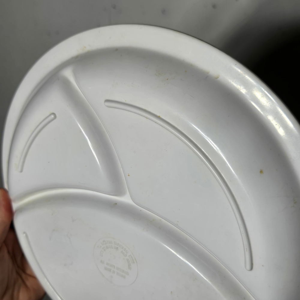 Vintage 1988 The Land Before Time Divided Plate Littlefoot Cera Ducky Melamine - Picture 4 of 7